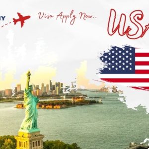 usa visa course